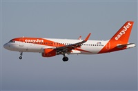 Alfonso Sols - Asociacin Canary Islands Spotting. Click to see full size photo