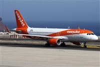 Alfonso Sols - Asociacin Canary Islands Spotting. Click to see full size photo