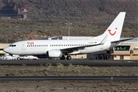 Alfonso Sols - Asociacin Canary Islands Spotting. Click to see full size photo