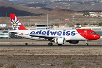 ©Alfonso Solís - Asociación Canary Islands Spotting. Click to see full size photo ©Alfonso Solís - Asociación Canary Islands Spotting. Click to see full size photo
