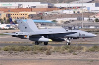 Alfonso Sols - Asociacin Canary Islands Spotting. Click to see full size photo