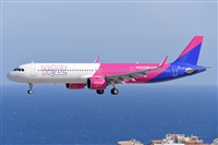 Miguel A. gueda Rguez.  (CANARY ISLANDS SPOTTING). Click to see full size photo