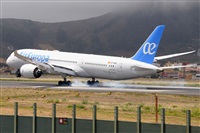 Miguel A. gueda Rguez.  (CANARY ISLANDS SPOTTING). Click to see full size photo