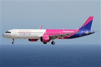 ©Alfonso Solís - Asociación Canary Islands Spotting. Click to see full size photo ©Alfonso Solís - Asociación Canary Islands Spotting. Click to see full size photo