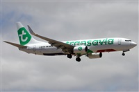 Alfonso Sols - Asociacin Canary Islands Spotting. Click to see full size photo