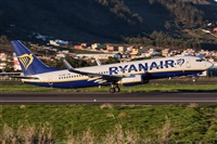 ©Román A. Pérez. Click to see full size photo ©Román A. Pérez. Click to see full size photo