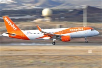 Miguel A. gueda Rguez.  (CANARY ISLANDS SPOTTING). Click to see full size photo