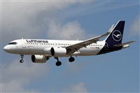 Alfonso Sols - Asociacin Canary Islands Spotting. Click to see full size photo
