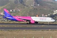 Miguel A. gueda Rguez.  (CANARY ISLANDS SPOTTING). Click to see full size photo