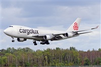 Miguel A. gueda Rguez.  (CANARY ISLANDS SPOTTING). Click to see full size photo