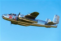 Tams. Click to see full size photo