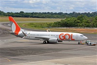 Fabio Duarte - Manaus Spotting Team. Click to see full size photo