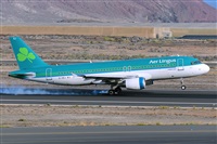Miguel A. gueda Rguez.  (CANARY ISLANDS SPOTTING). Click to see full size photo