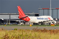 Miguel A. gueda Rguez.  (CANARY ISLANDS SPOTTING). Click to see full size photo