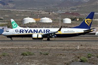 Alfonso Sols - Asociacin Canary Islands Spotting. Click to see full size photo