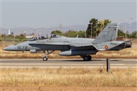 David Manuel Tobarra Ruiz - Spotters Murcia. Click to see full size photo