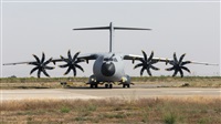Florencio Martn Melin - Lanzarote Spotters. Haz click para ampliar