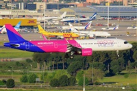 Miguel A. gueda Rguez.  (CANARY ISLANDS SPOTTING). Click to see full size photo
