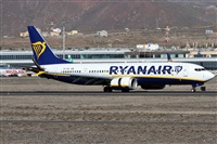 ©Alfonso Solís - Asociación Canary Islands Spotting. Click to see full size photo ©Alfonso Solís - Asociación Canary Islands Spotting. Click to see full size photo