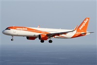 ©Alfonso Solís - Asociación Canary Islands Spotting. Click to see full size photo ©Alfonso Solís - Asociación Canary Islands Spotting. Click to see full size photo