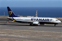 Alfonso Sols - Asociacin Canary Islands Spotting. Click to see full size photo