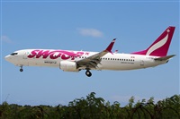 �La Roche Spotters. Click to see full size photo