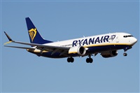 �Alfonso Sol�s - Asociaci�n Canary Islands Spotting. Click to see full size photo