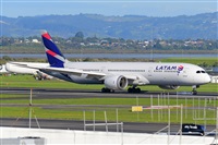 �Miguel A. �gueda Rguez.  (CANARY ISLANDS SPOTTING). Click to see full size photo